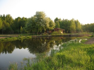 Чистая природа