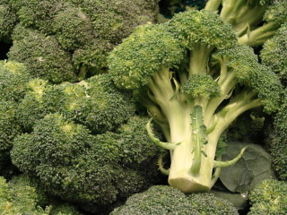 kapusta-broccoli7