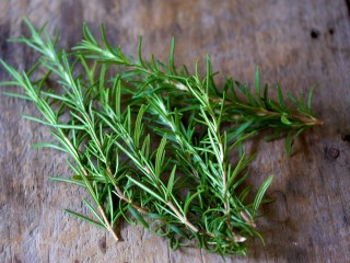 rosemary 0