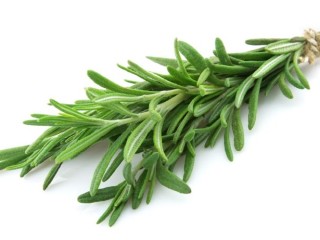 rosemary 5