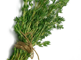 thyme_4