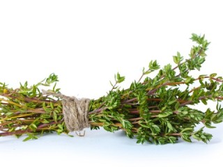 thyme_6