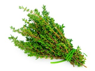 thyme_7