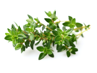 Thyme spice
